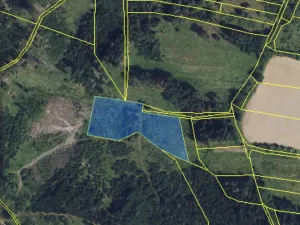 Prodej lesa, Městečko Trnávka - Lázy, 6313 m2