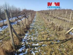 Prodej pole, Morkůvky, 3677 m2