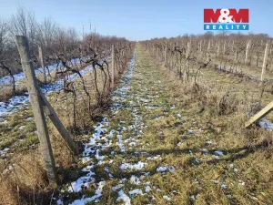 Prodej pole, Morkůvky, 3677 m2