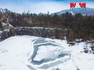 Prodej lesa, Rabí, 28273 m2