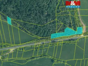 Prodej lesa, Rabí, 28273 m2