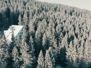 Prodej bytu 5+kk, Loučná pod Klínovcem, 166 m2