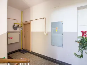 Pronájem bytu 2+kk, Praha - Dejvice, Zikova, 60 m2