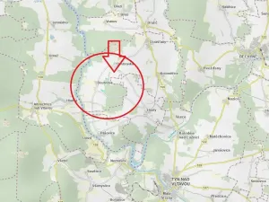 Prodej lesa, Chrášťany, 11900 m2