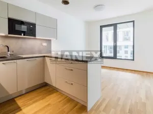 Pronájem bytu 2+kk, Praha - Karlín, Pernerova, 55 m2