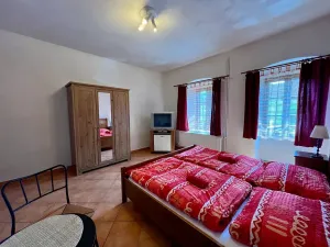 Prodej rodinného domu, Zlatá Koruna, 500 m2