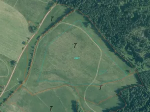 Prodej pole, Pohorská Ves - Janova Ves, 67144 m2