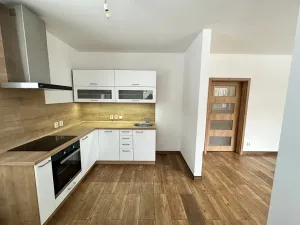 Pronájem bytu 1+kk, Děčín, Na Slatinách, 38 m2