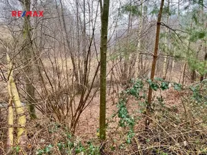 Prodej pozemku, Ondřejov, 8264 m2