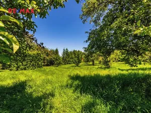 Prodej zemědělské usedlosti, Medový Újezd, 218 m2