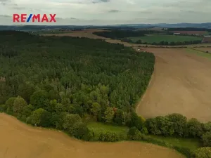 Prodej lesa, Všehrdy, 35057 m2