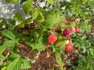 Prodej rodinného domu, Cheb, U Sídliště, 114 m2