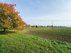 Prodej pozemku pro bydlení, Všechlapy, 9214 m2