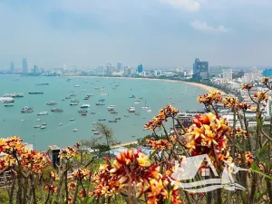 Prodej bytu 2+kk, Pattaya, Thajsko, 47 m2