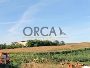 Prodej pole, Tupesy, 2120 m2