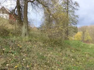 Dražba pozemku, Aš, 1691 m2