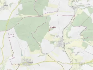 Dražba lesa, Milavče, 1643 m2