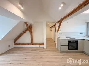 Pronájem bytu 2+kk, Brno - Dvorska, Zapletalova, 49 m2