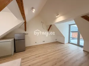 Pronájem bytu 2+kk, Brno - Dvorska, Zapletalova, 49 m2