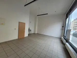 Pronájem obchodního prostoru, Brno, Purkyňova, 39 m2