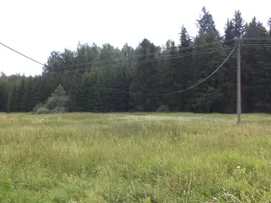 Prodej pozemku, Chodský Újezd - Nahý Újezdec, 13137 m2