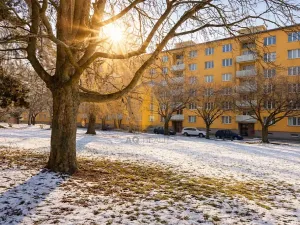 Prodej bytu 2+1, Jičín, Nám. V. Čtvrtka, 65 m2