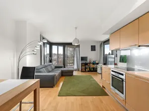 Prodej bytu 2+kk, Praha - Žižkov, Pitterova, 83 m2
