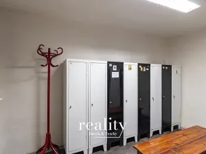 Pronájem výrobních prostor, Šebrov-Kateřina, 243 m2