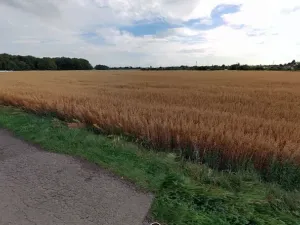 Prodej pozemku pro bydlení, Ostrava, 980 m2