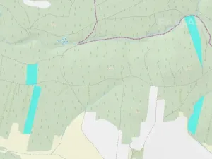 Prodej lesa, Jetětice, 103270 m2