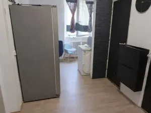 Pronájem bytu 1+1, Ústí nad Labem, Železná, 40 m2