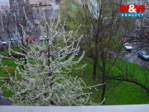 Pronájem bytu 2+1, Teplice, Školní, 87 m2