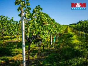 Prodej pole, Šardice, 56699 m2