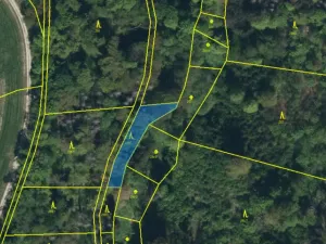 Prodej lesa, Řepníky, 562 m2