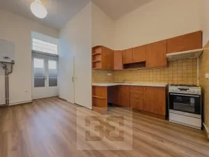 Pronájem bytu 1+1, Praha - Žižkov, Seifertova, 40 m2