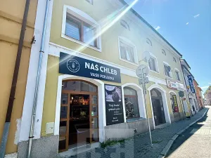 Prodej bytu 1+kk, Štětí, Krátká, 17 m2