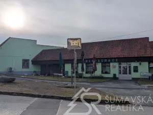 Prodej obchodního prostoru, Předslav, 494 m2