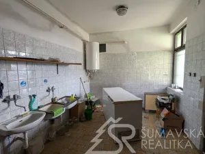 Prodej obchodního prostoru, Předslav, 494 m2