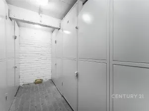 Pronájem bytu 2+kk, Praha, Biskupcova, 48 m2