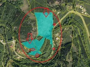 Prodej lesa, Malá Bystřice, 54751 m2