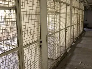 Pronájem skladu, Ostrava, Vratimovská, 10 m2