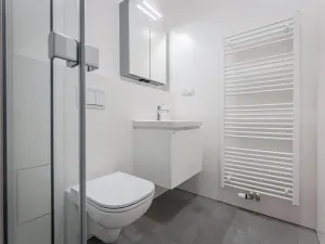 Pronájem bytu 2+kk, Praha - Žižkov, Seifertova, 46 m2