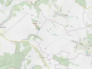 Dražba lesa, Přemyslovice, 6942 m2