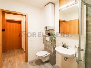 Pronájem bytu 1+kk, Brno, Cyrilská, 42 m2