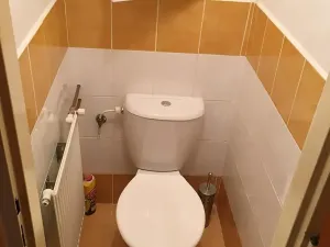 Pronájem bytu 2+1, Duchcov, Jungmannova, 50 m2