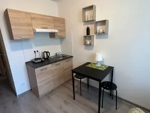 Pronájem bytu 1+kk, Kladno, Hřebečská, 20 m2