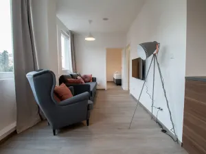 Pronájem bytu 2+kk, Praha - Vinohrady, Perucká, 45 m2