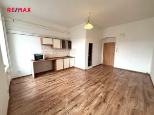 Pronájem bytu 1+kk, Plzeň, Skvrňanská, 30 m2