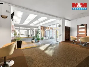 Pronájem obchodního prostoru, Ostrov, Lidická, 120 m2