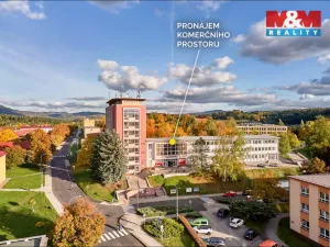 Pronájem obchodního prostoru, Ostrov, Lidická, 120 m2